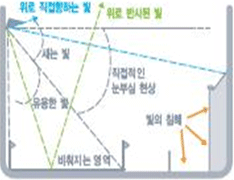장해광 현상 이미지