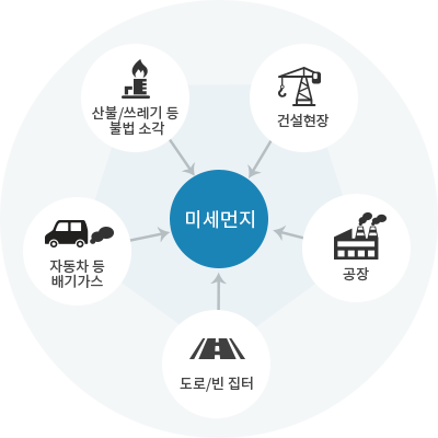 산불/쓰레기등 불법 소각, 건설현장, 자동차 등 배기가스, 도로/빈 집터, 공장에서 미세먼지 발생