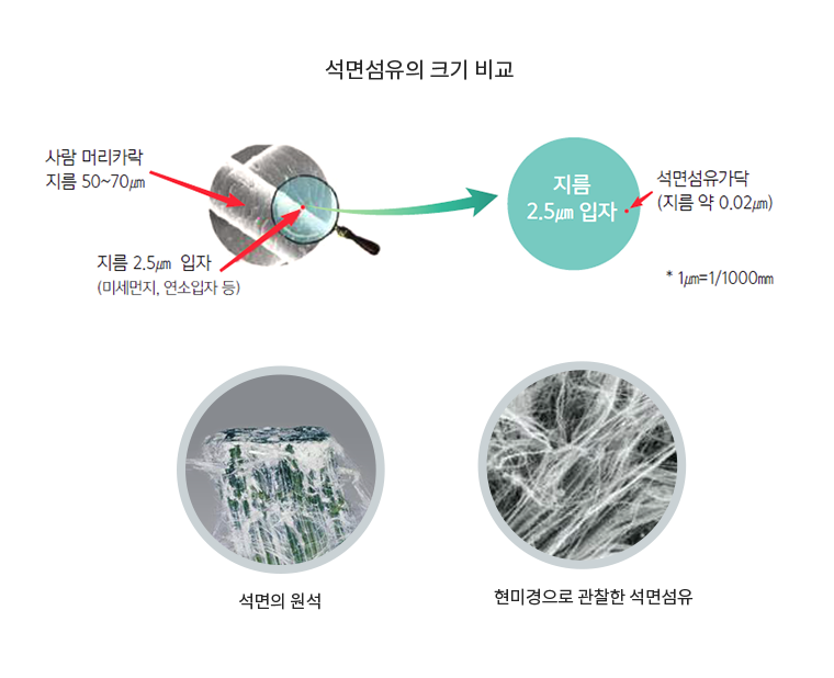 석면을 확대한 이미지