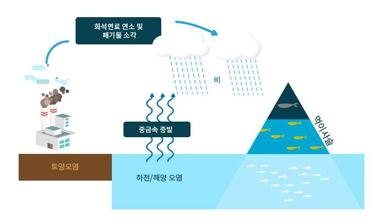 중금속의 이동을 그린 이미지