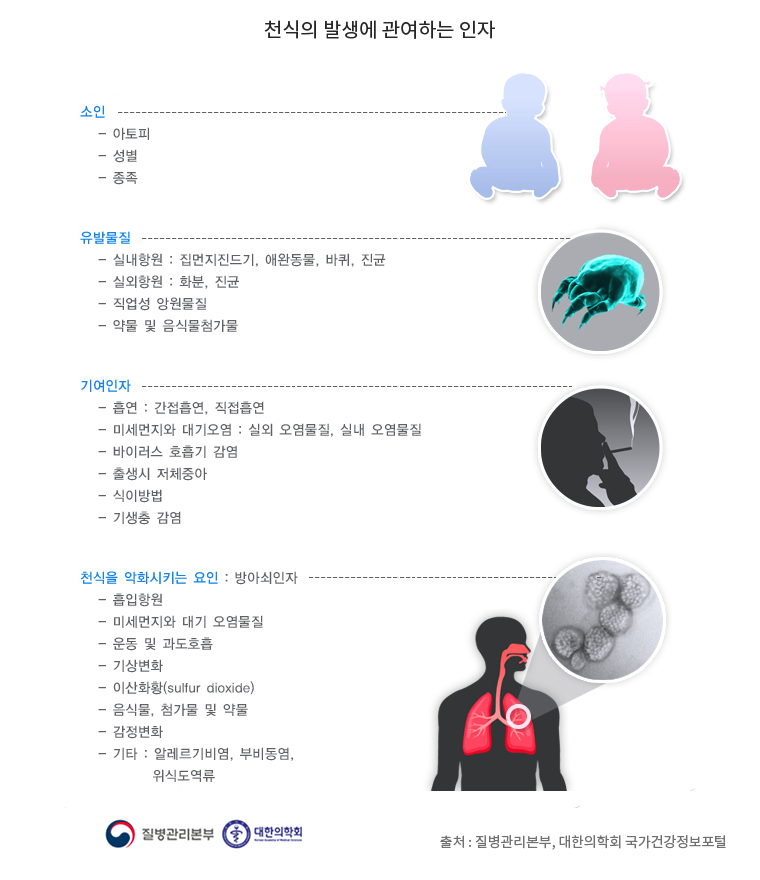 천식의 원인을 정리한 이미지