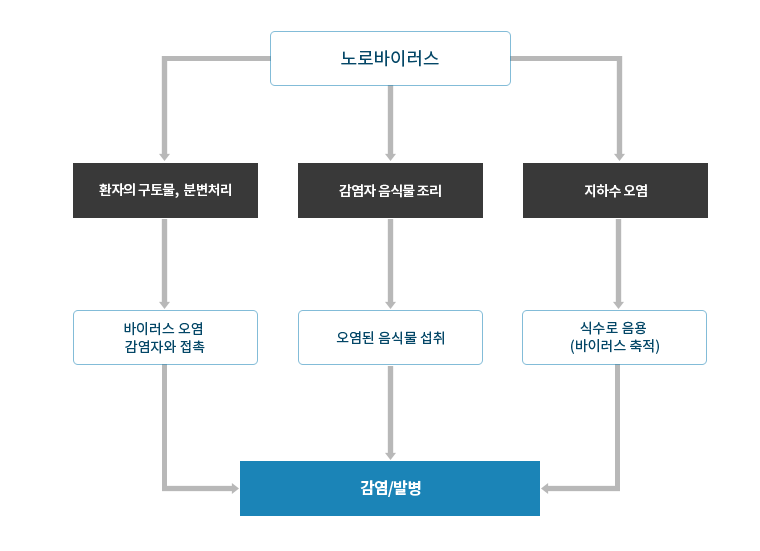 노로바이러스가 이동하는 경로를 그린 이미지