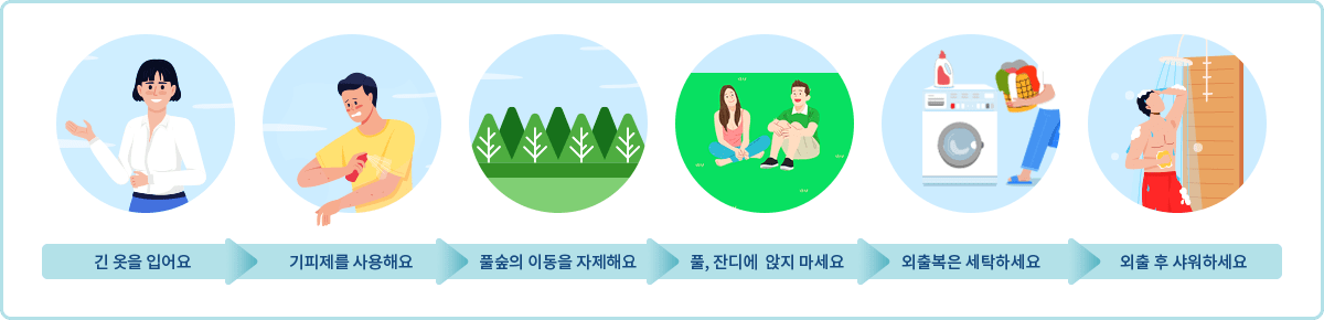 모기, 진드기, 파리 사진