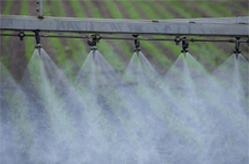 농약 및 살충제