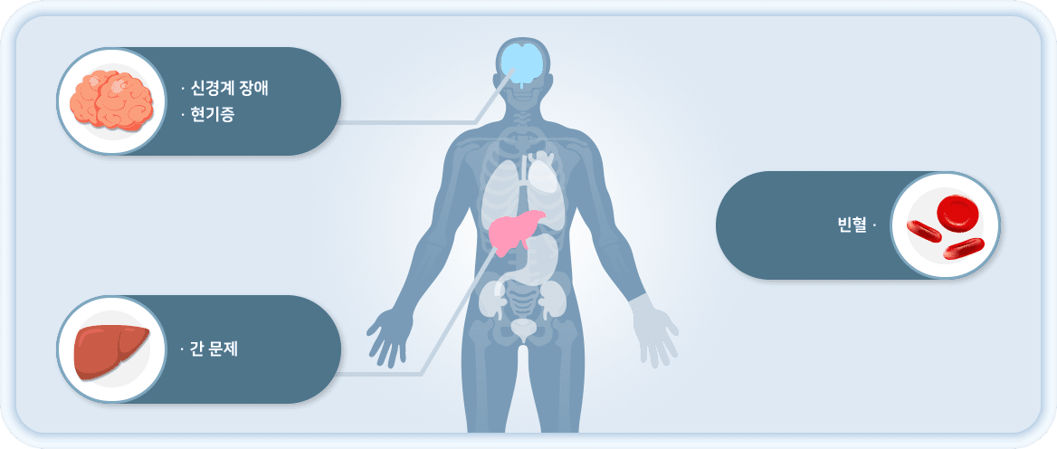 빈혈, 신경계 장애, 간 문제, 현기증