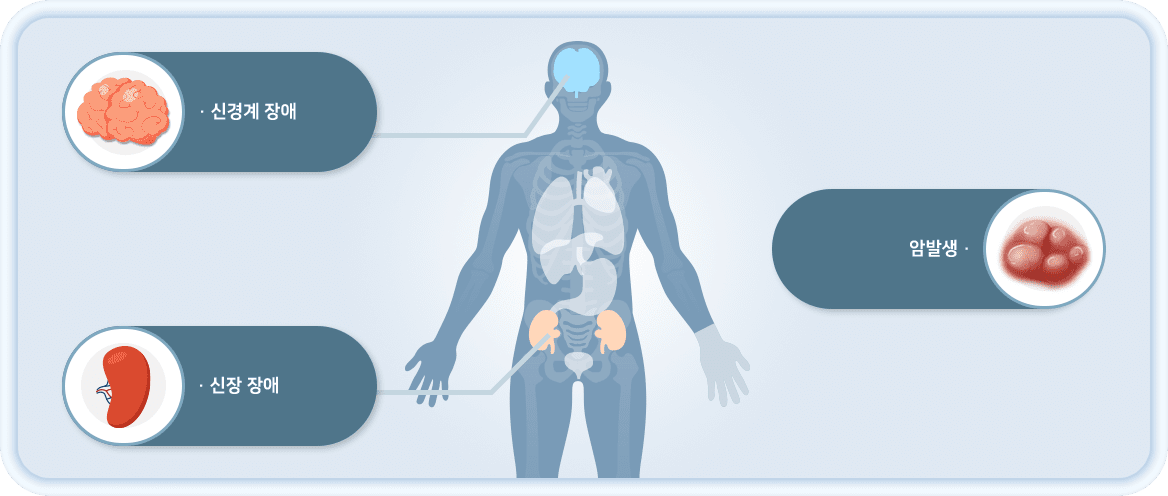 신장 장애, 신경계 장애, 암발생