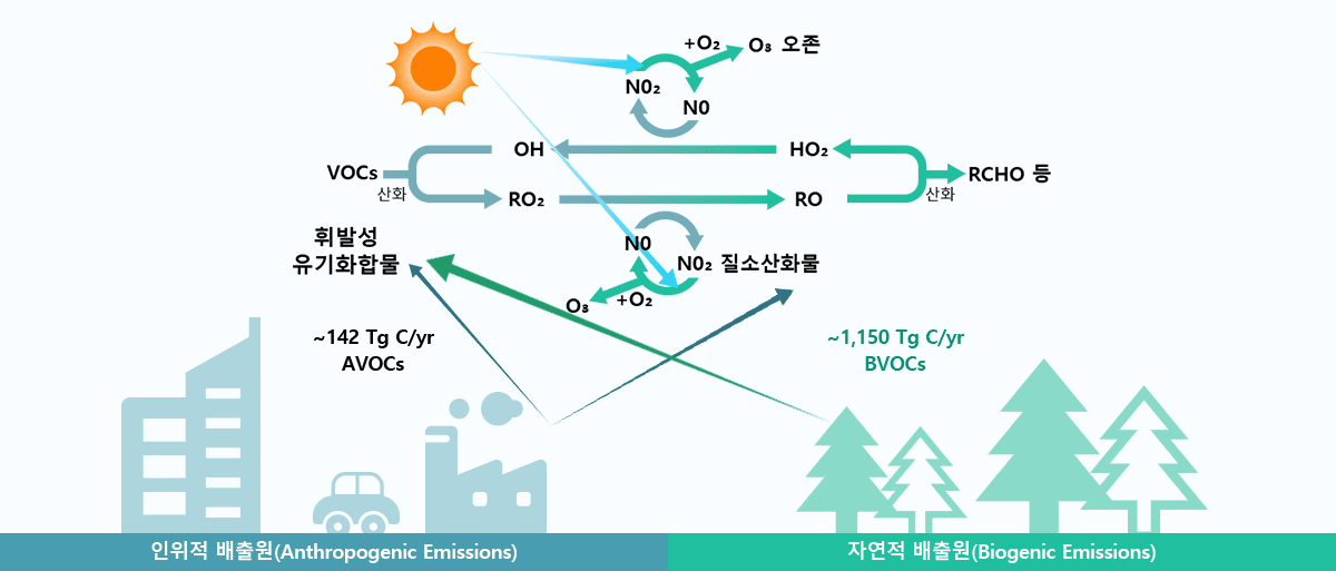환경보건포털 > 왜 발생하나요?
